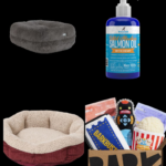 cozy winter pet gear - Growls and Grimm