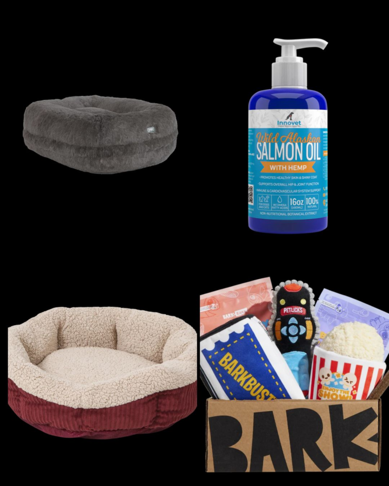 cozy winter pet gear - Growls and Grimm