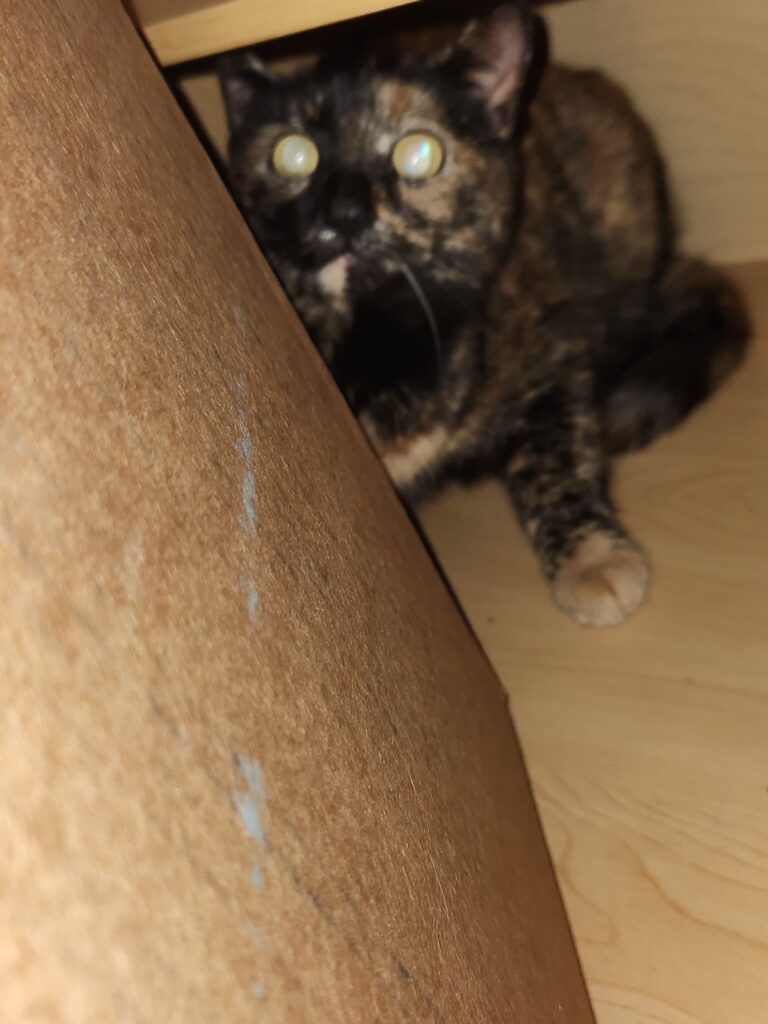 The Good Soup Chronicles Cabinet Goblin