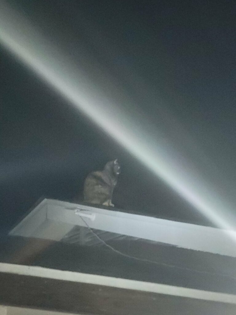 The Good Soup Chronicles Vol 20 The Roof at 5AM