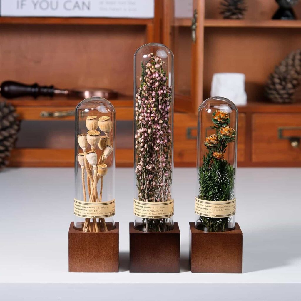 Dried Flower Shelf Decor (Apothecary Style)