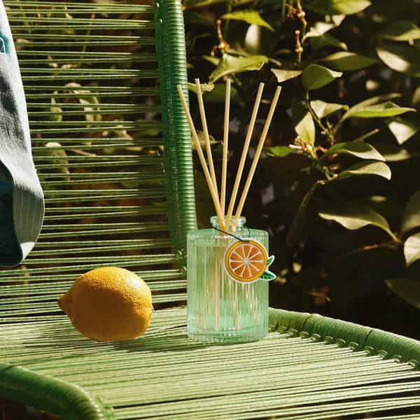 Cocorrina Sage & Citrus Reed Diffuser Growls and Grimm