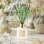 Cocorrina White Jasmine Reed Diffuser Growls and Grimm Affiliate