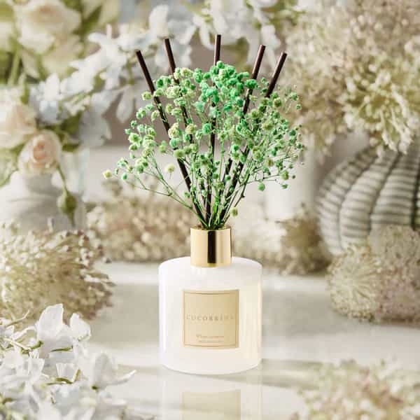 Cocorrina White Jasmine Reed Diffuser Growls and Grimm Affiliate