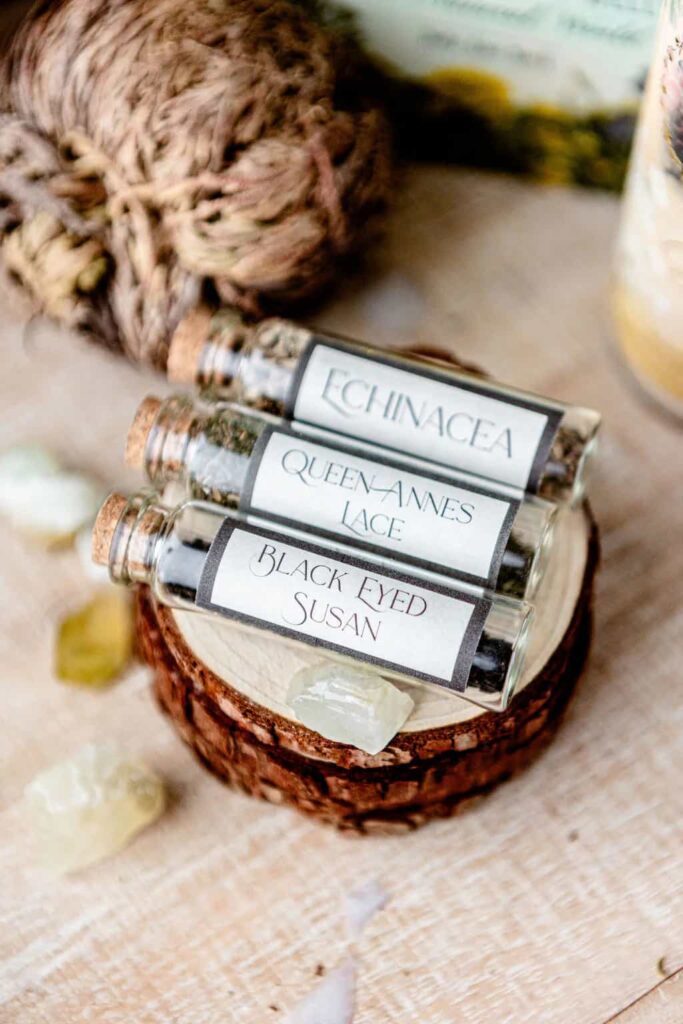 Seed Vial Trio (Queen Anne's Lace, Echinacea & Black-Eyed Susan) Tamed Wild