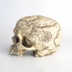 Craniumography Skull Map