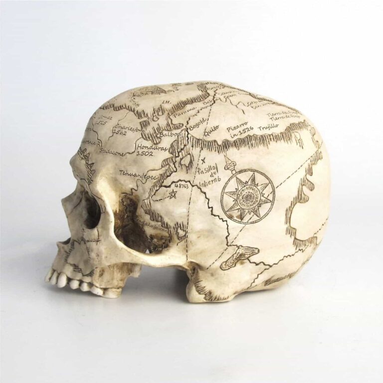 Craniumography Skull Map