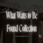 What Waits to Be Found Collection