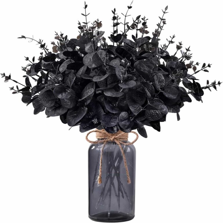 Black Eucalyptus Stems with Glass Vase