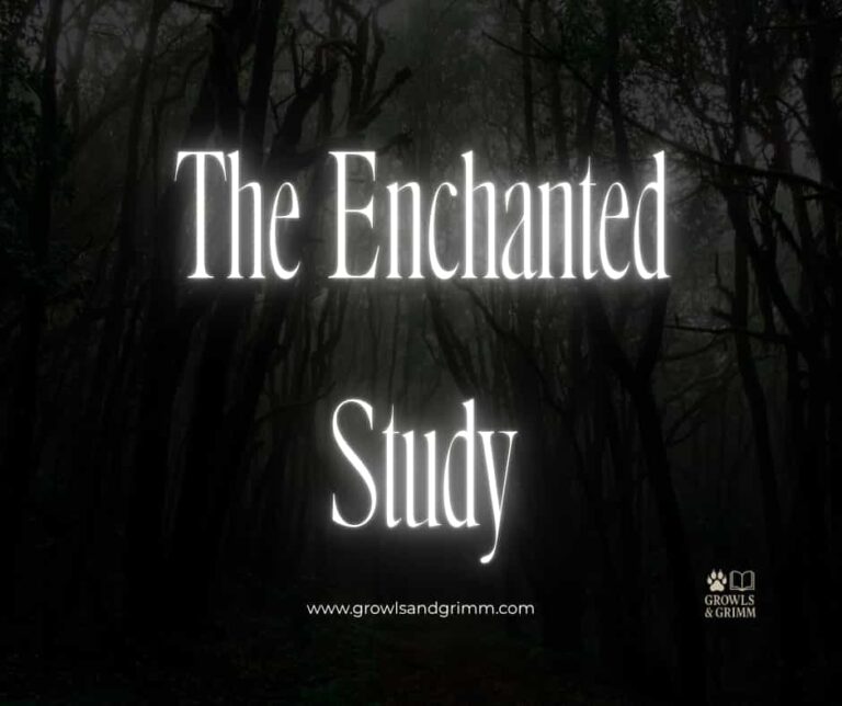 The Enchanted Study