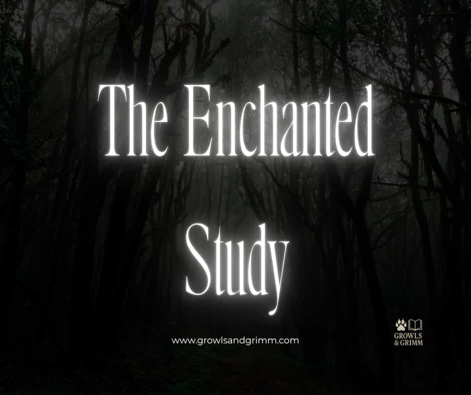 The Enchanted Study