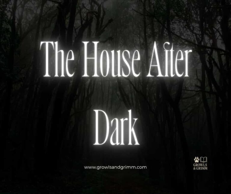 The House After Dark