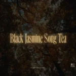 Black Jasmine Song Tea (Adagio)