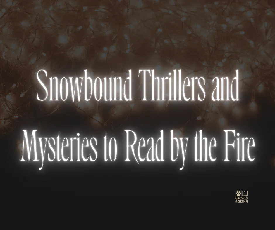 Snowbound Thrillers and Mysteries to Read by the Fire