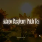 Adagio Raspberry Patch Tea