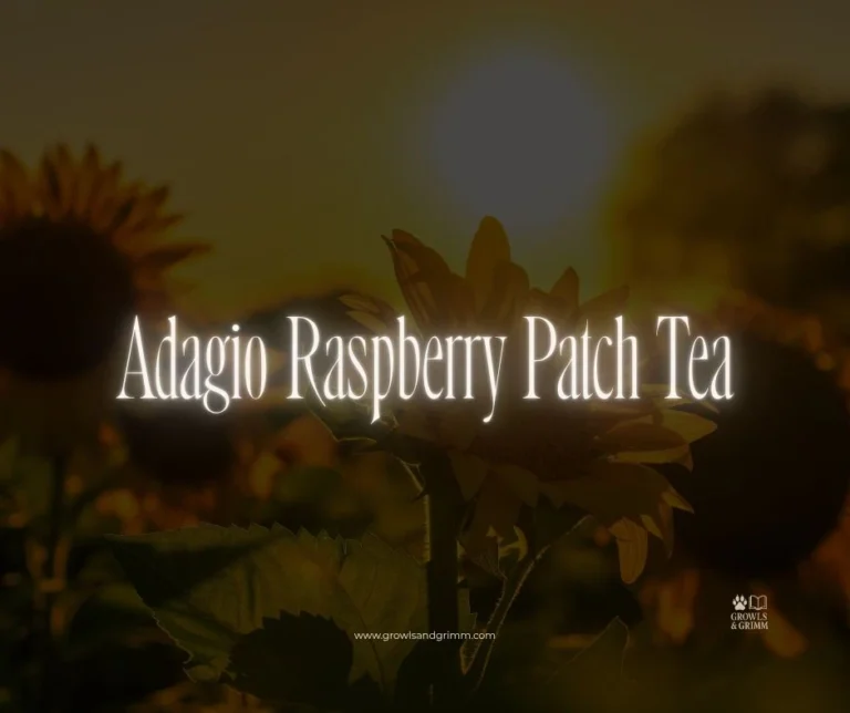 Adagio Raspberry Patch Tea