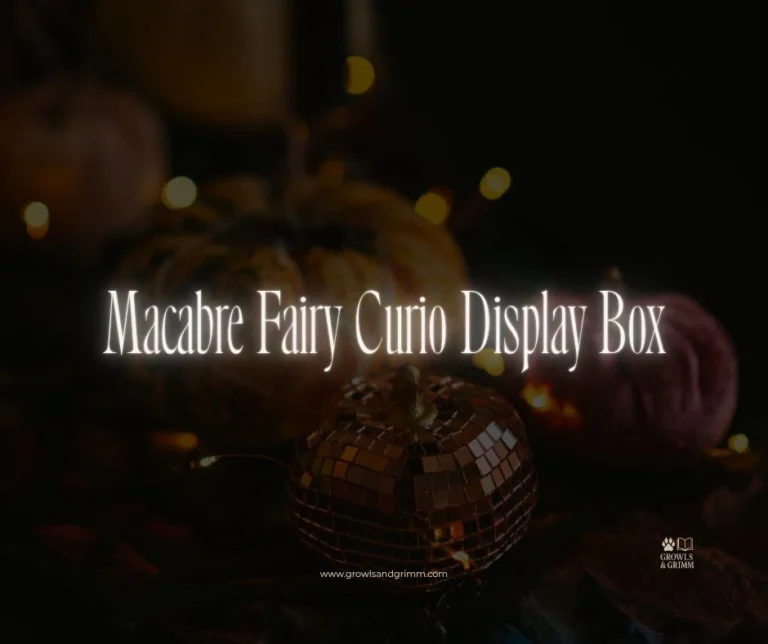 Macabre Fairy Curio Display Box