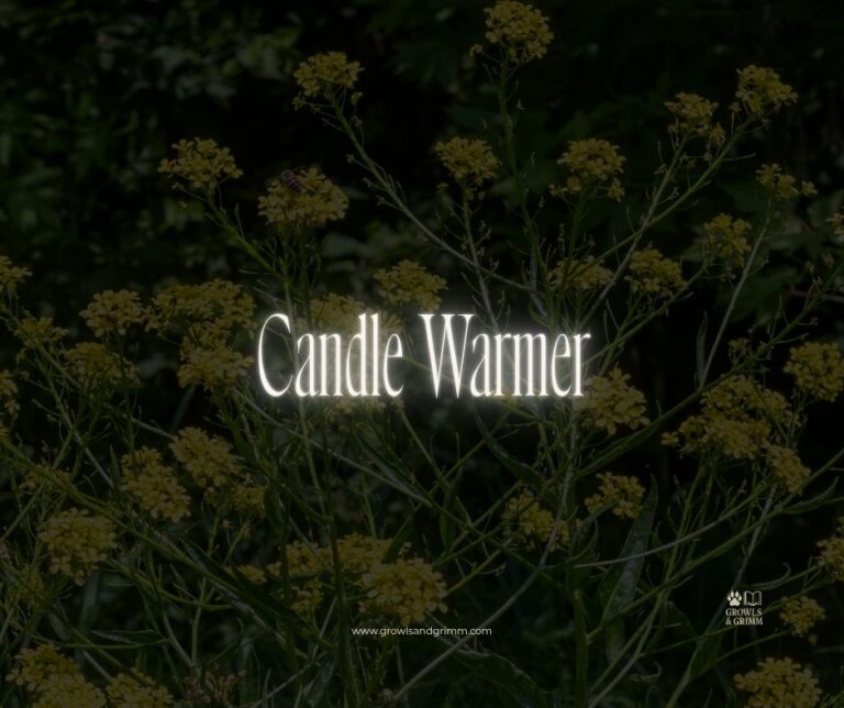 Cozy Living Candle Warmer
