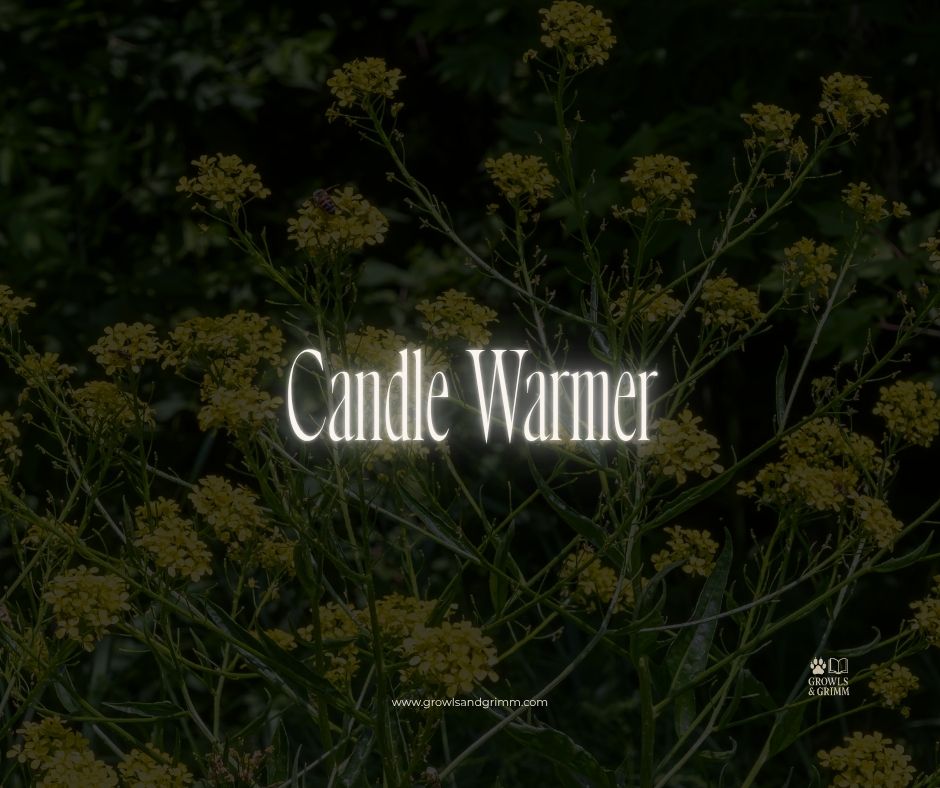 Cozy Living Candle Warmer