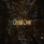 Crystal Crow (Tamed Wild)