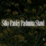 Silky Paisley Pashmina Shawl