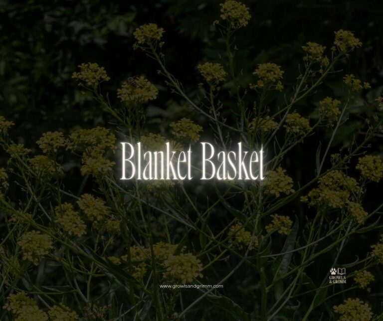 Blanket Basket