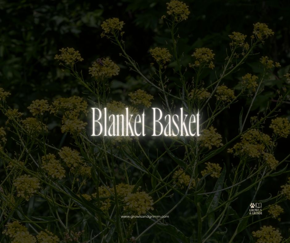 Blanket Basket