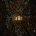Bat Box