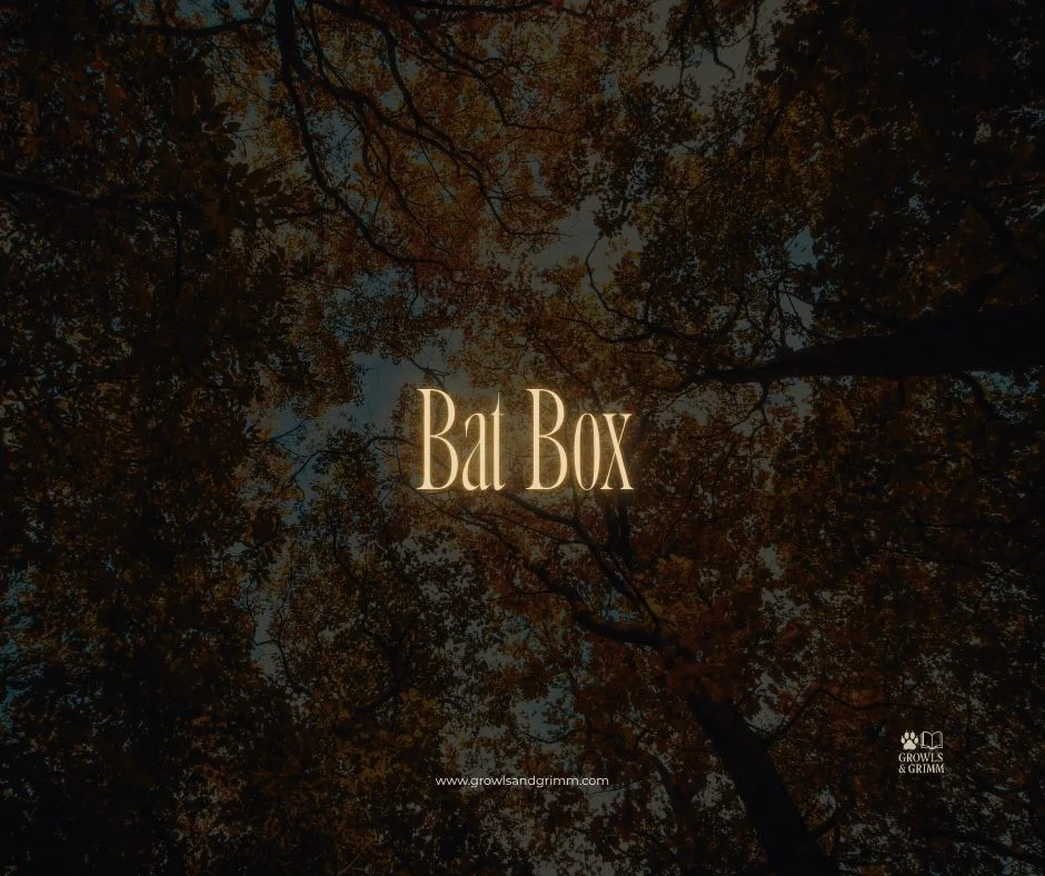 Bat Box