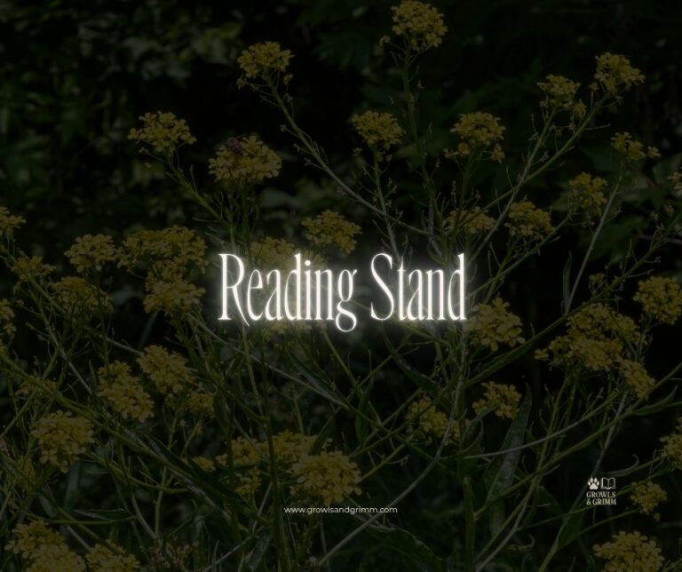 Reading Stand
