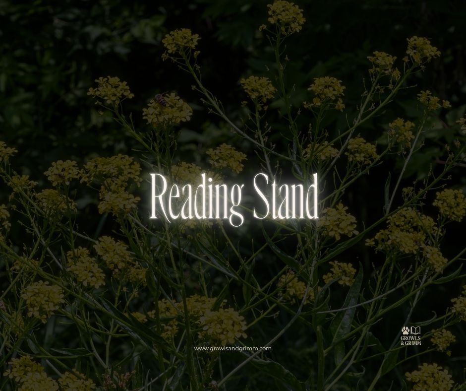 Reading Stand