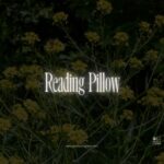 Reading Pillow