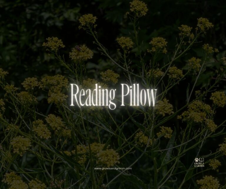 Reading Pillow