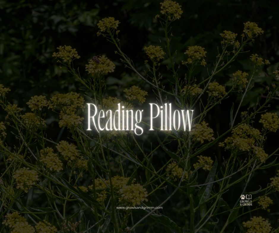 Reading Pillow