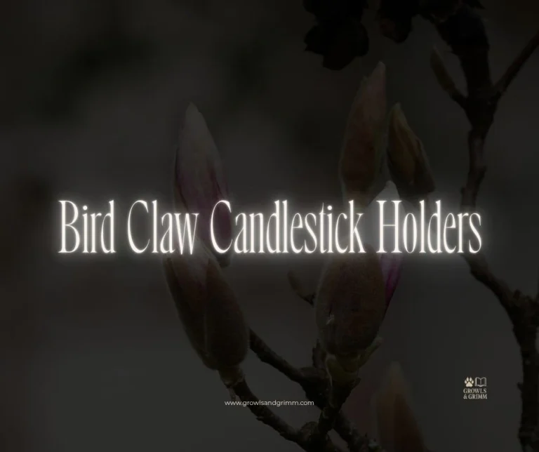 Bird Claw Candlestick Holders (Black Taper Candle Holders)