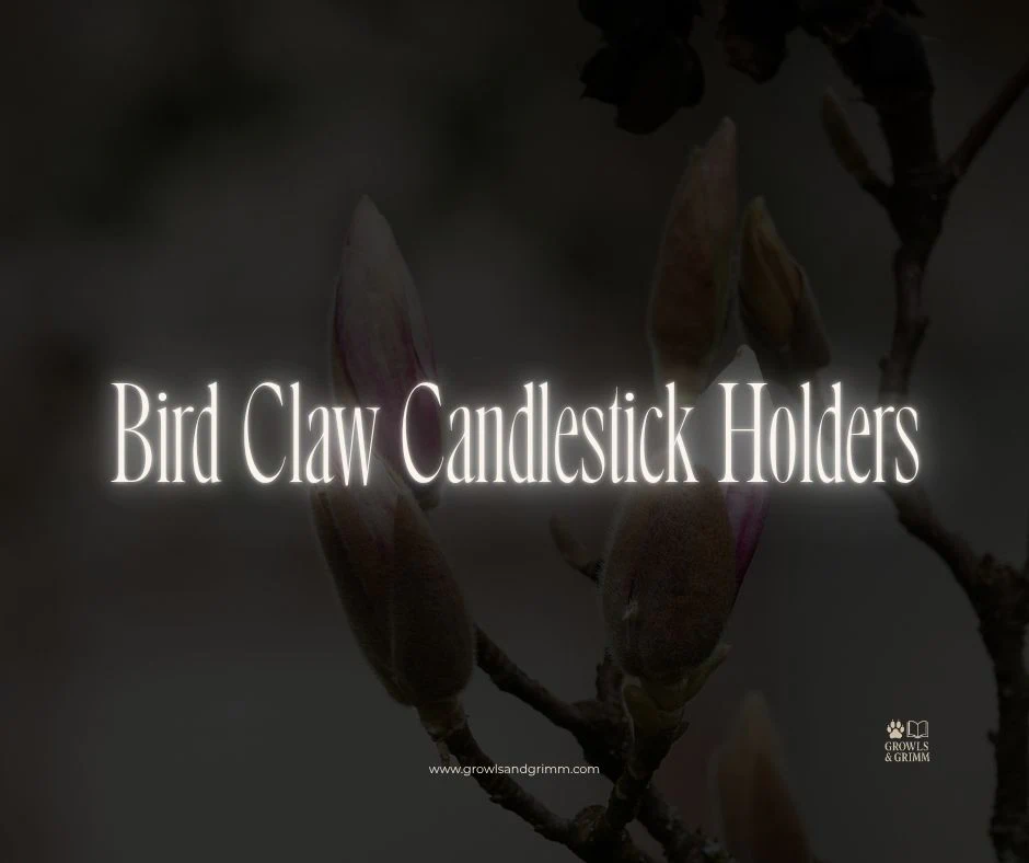 Bird Claw Candlestick Holders (Black Taper Candle Holders)