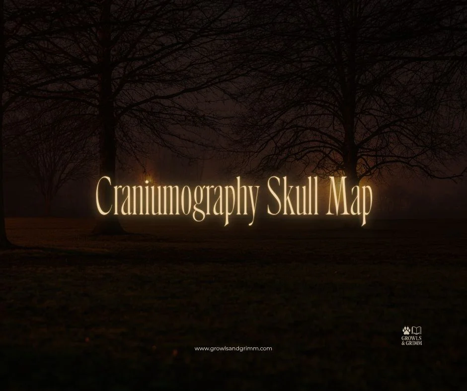 Craniumography Skull Map