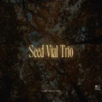 Seed Vial Trio (Queen Anne's Lace, Echinacea & Black-Eyed Susan)