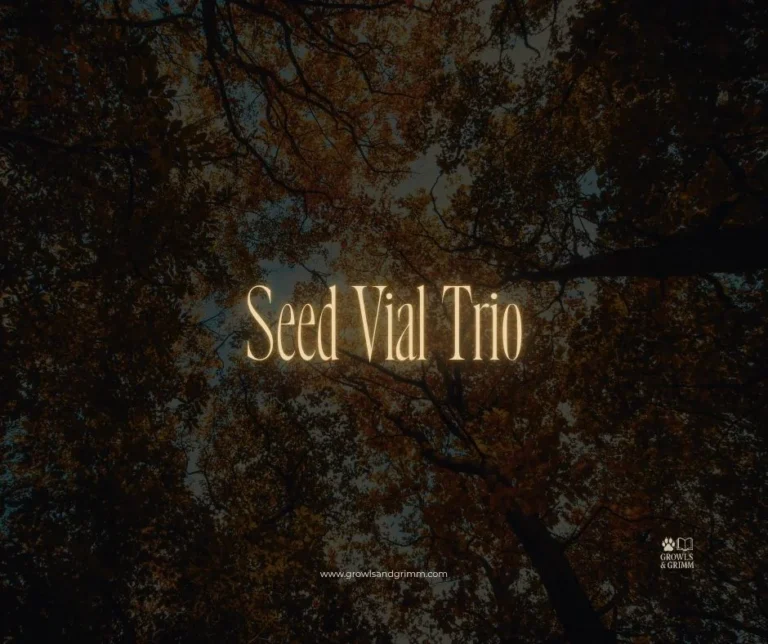 Seed Vial Trio (Queen Anne's Lace, Echinacea & Black-Eyed Susan)