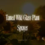 Tamed Wild Glass Plant Sprayer