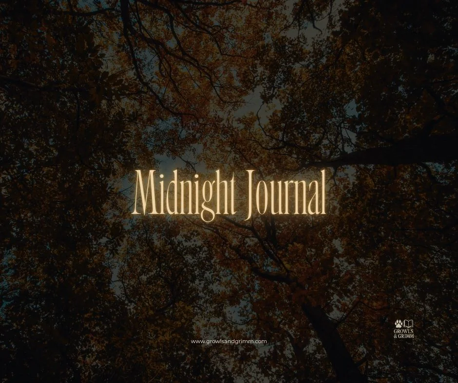 Midnight Journal (Blick)