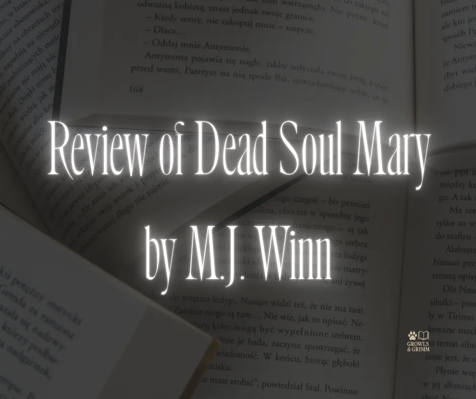Review of Dead Soul Mary by M.J. Winn