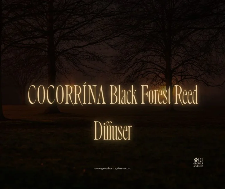 COCORRÍNA Black Forest Reed Diffuser