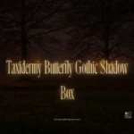 Taxidermy Butterfly Gothic Shadow Box
