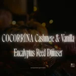 COCORRÍNA Cashmere & Vanilla Eucalyptus Reed Diffuser