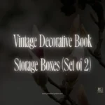 Vintage Decorative Book Storage Boxes (Set of 2)