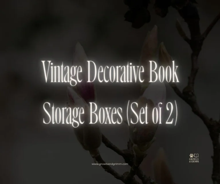 Vintage Decorative Book Storage Boxes (Set of 2)