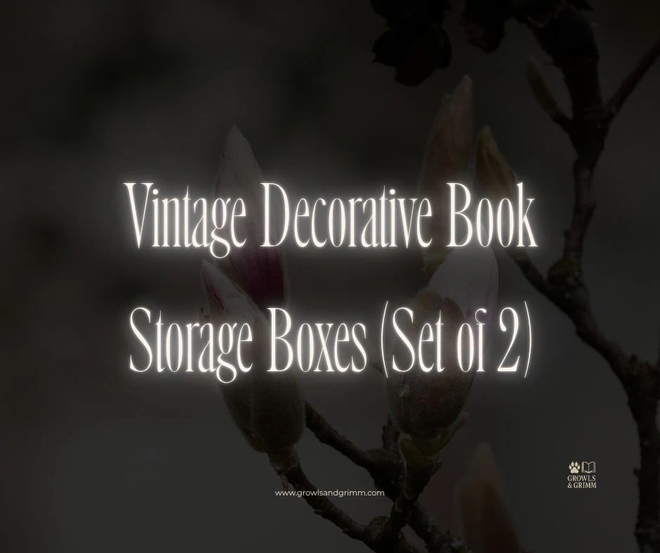Vintage Decorative Book Storage Boxes (Set of 2)