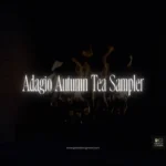 Adagio Autumn Tea Sampler