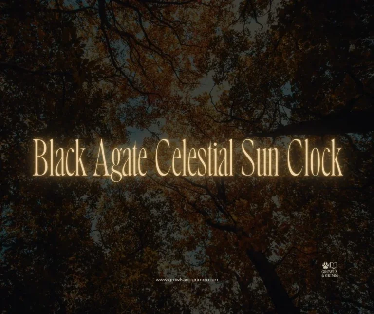 Black Agate Celestial Sun Clock (Tamed Wild)